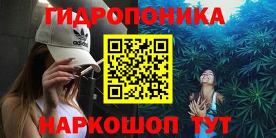 гидропоника Пенза