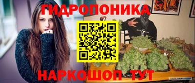 гидропоника Пенза