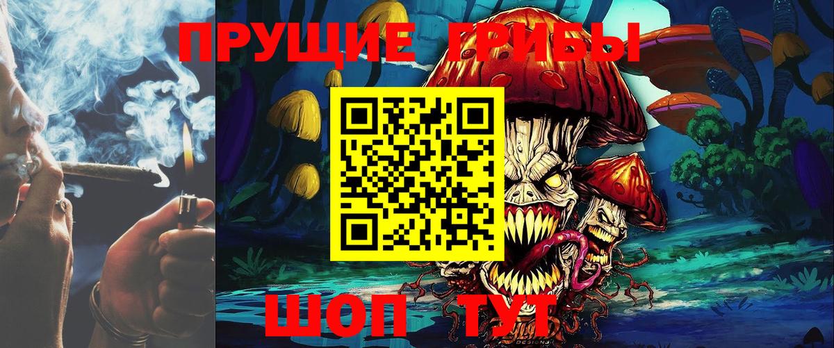 Старая Купавна  Галлюциногенные грибы GOLDEN TEACHER  Вход с VPN  Псилоцибиновые грибы Magic Shrooms 