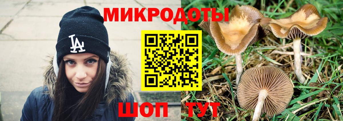Псилоцибиновые грибы прущие грибы Старая Купавна